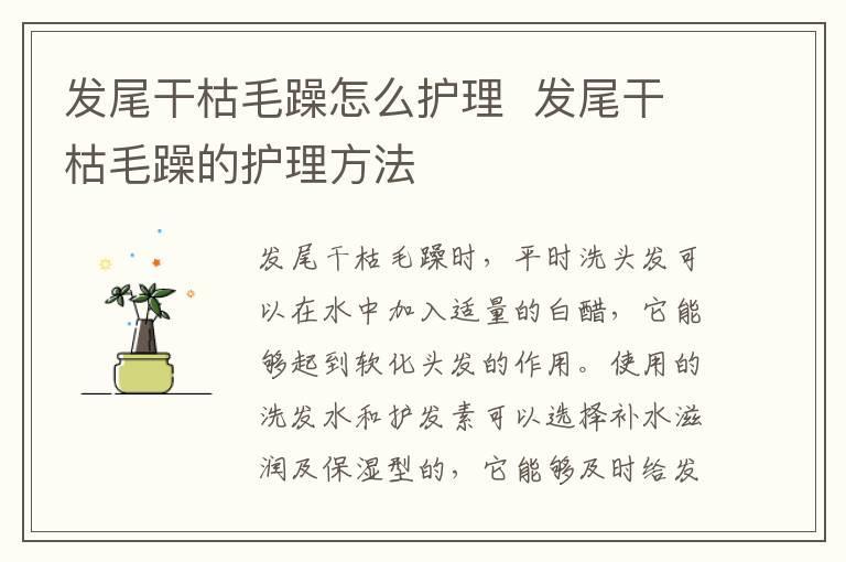 发尾干枯毛躁怎么护理  发尾干枯毛躁的护理方法