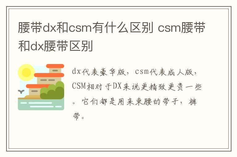腰带dx和csm有什么区别 csm腰带和dx腰带区别