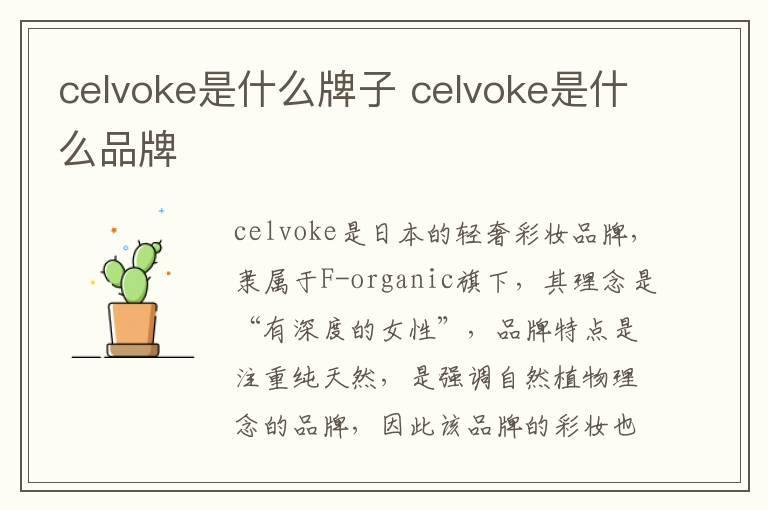 celvoke是什么牌子 celvoke是什么品牌