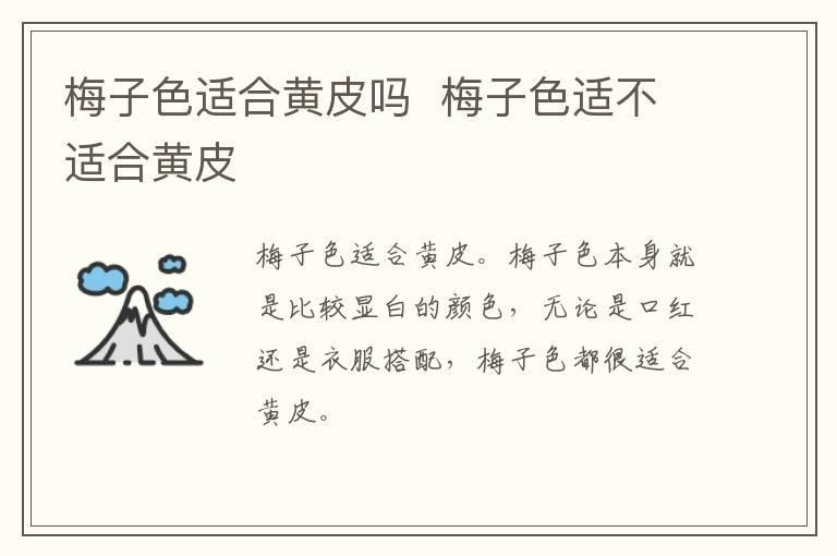 梅子色适合黄皮吗  梅子色适不适合黄皮