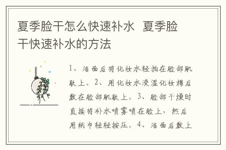 夏季脸干怎么快速补水 夏季脸干快速补水的方法