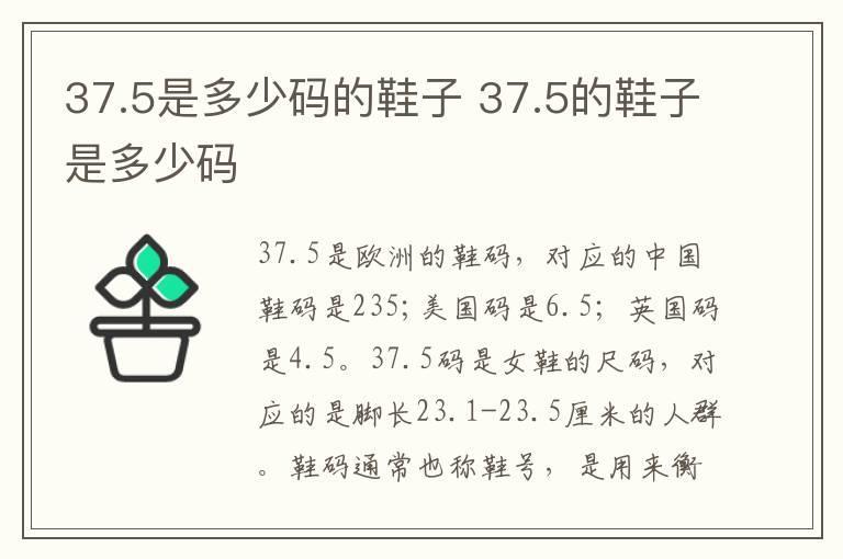 37.5是多少码的鞋子 37.5的鞋子是多少码