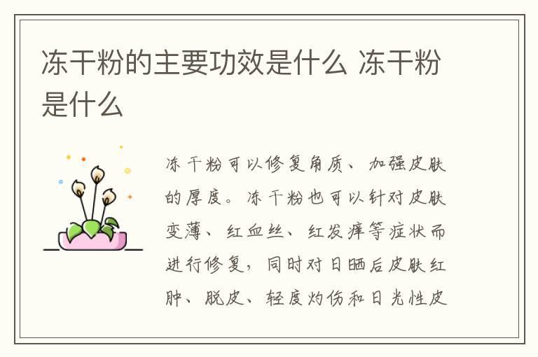 冻干粉的主要功效是什么 冻干粉是什么