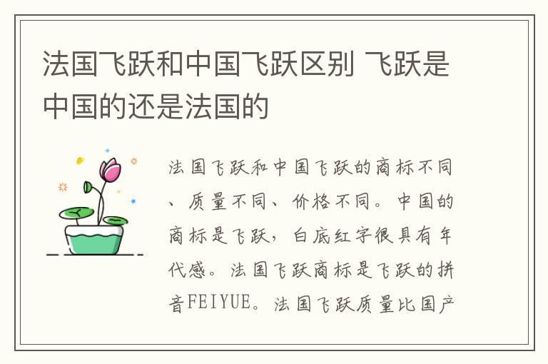 法国飞跃和中国飞跃区别 飞跃是中国的还是法国的