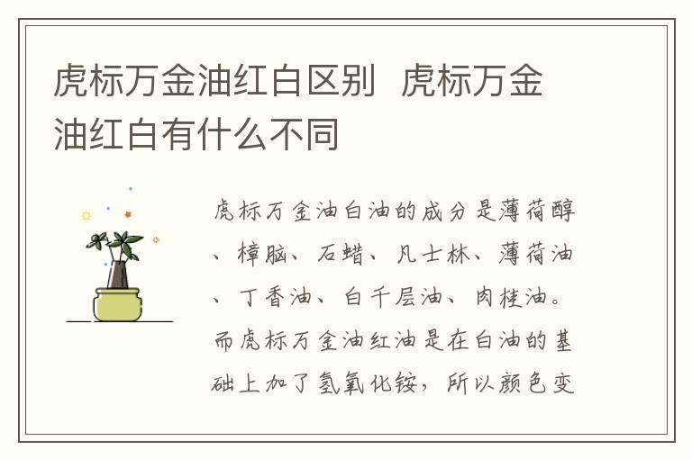 虎标万金油红白区别 虎标万金油红白有什么不同