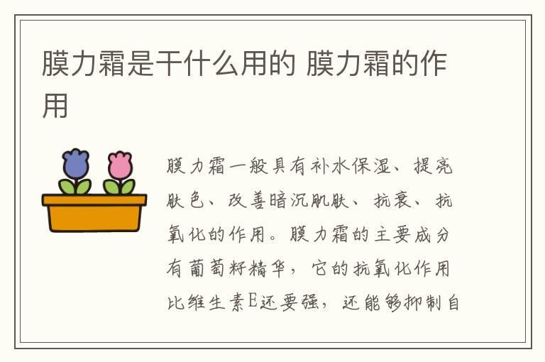 膜力霜是干什么用的 膜力霜的作用