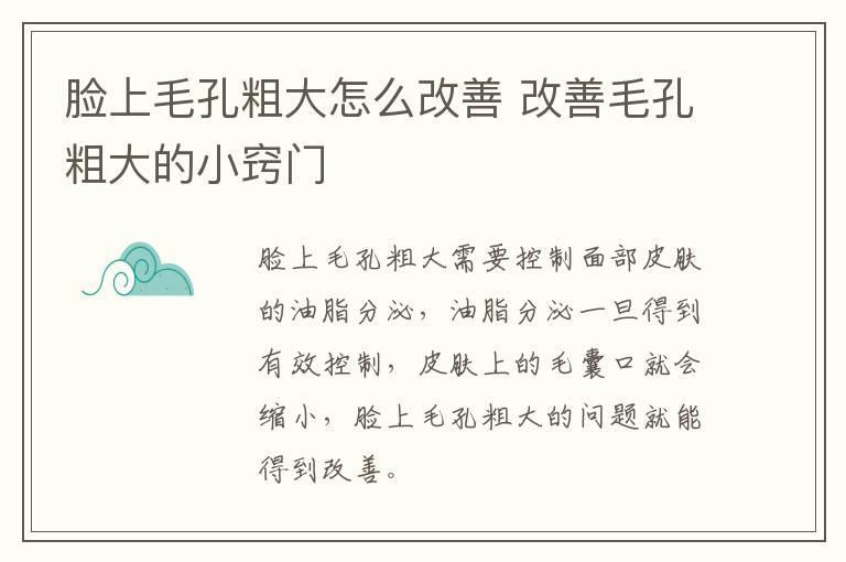 脸上毛孔粗大怎么改善 改善毛孔粗大的小窍门