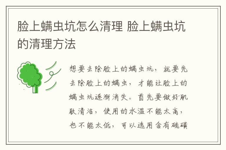 脸上螨虫坑怎么清理 脸上螨虫坑的清理方法