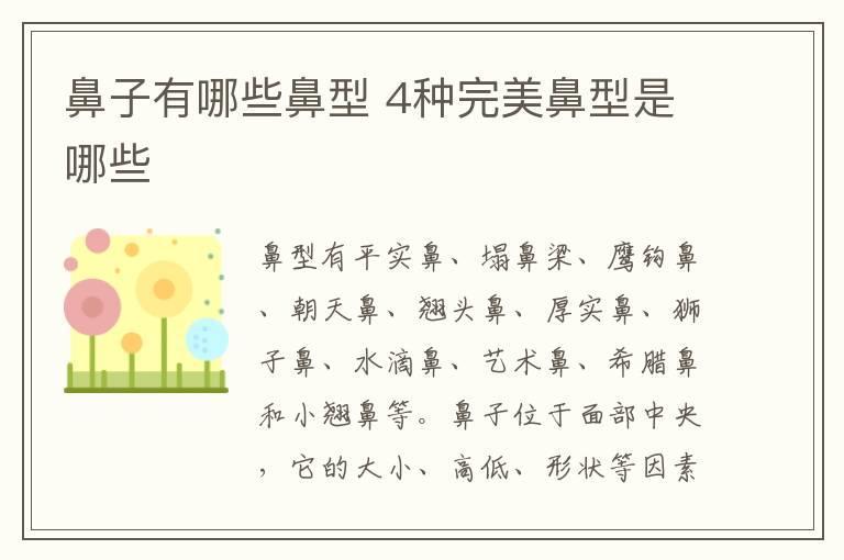 鼻子有哪些鼻型 4种完美鼻型是哪些