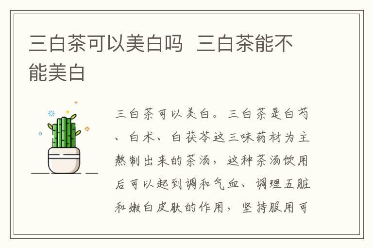 三白茶可以美白吗 三白茶能不能美白