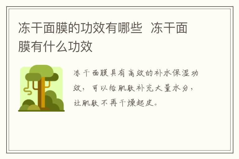 冻干面膜的功效有哪些 冻干面膜有什么功效