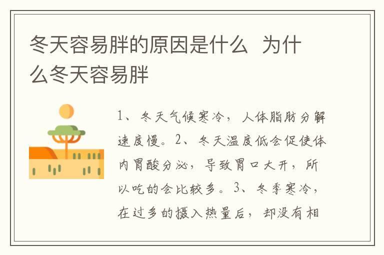 冬天容易胖的原因是什么  为什么冬天容易胖
