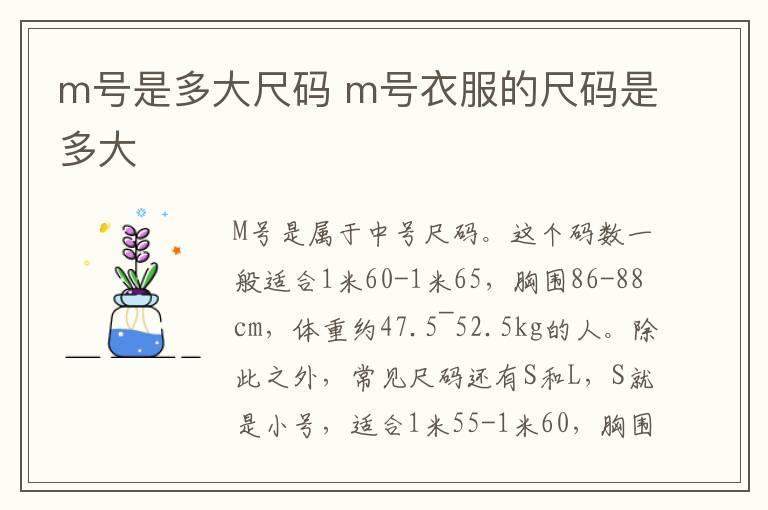 m号是多大尺码 m号衣服的尺码是多大