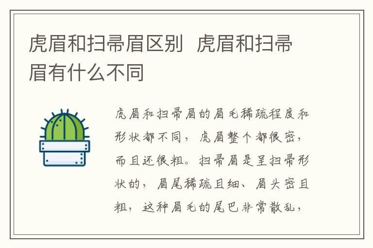 虎眉和扫帚眉区别 虎眉和扫帚眉有什么不同