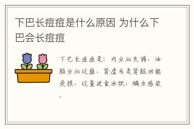 下巴长痘痘是什么原因 为什么下巴会长痘痘