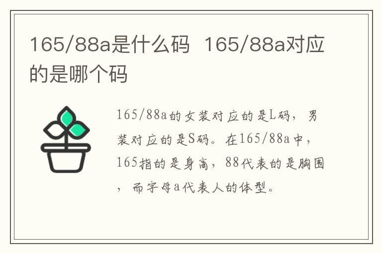 165/88a是什么码 165/88a对应的是哪个码