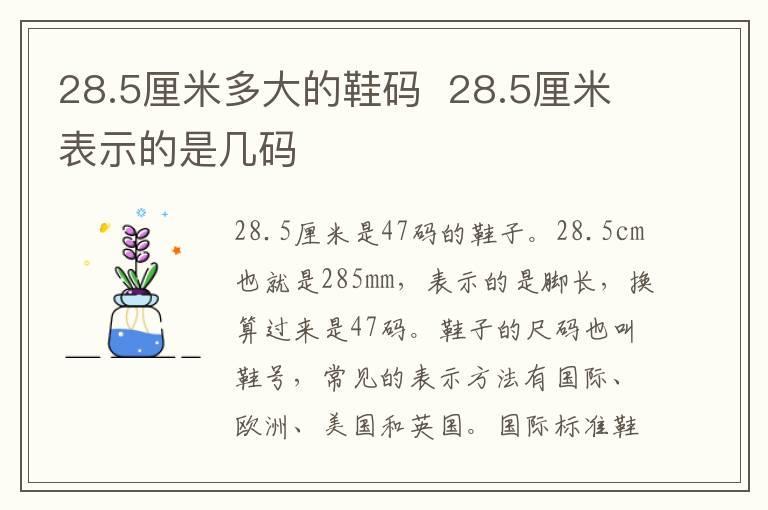 28.5厘米多大的鞋码 28.5厘米表示的是几码