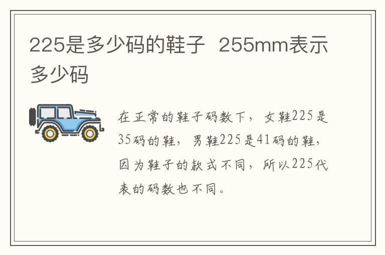 225是多少码的鞋子 255mm表示多少码