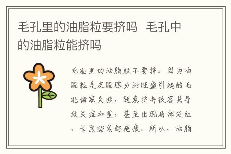 毛孔里的油脂粒要挤吗 毛孔中的油脂粒能挤吗