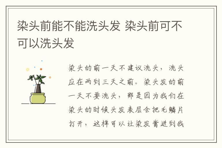 染头前能不能洗头发 染头前可不可以洗头发