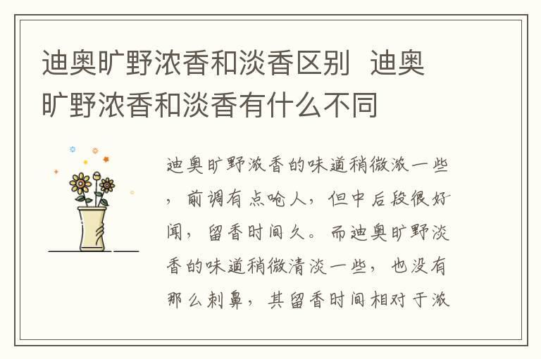 迪奥旷野浓香和淡香区别  迪奥旷野浓香和淡香有什么不同