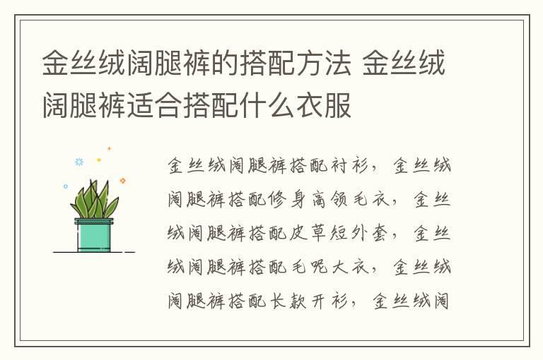 金丝绒阔腿裤的搭配方法 金丝绒阔腿裤适合搭配什么衣服