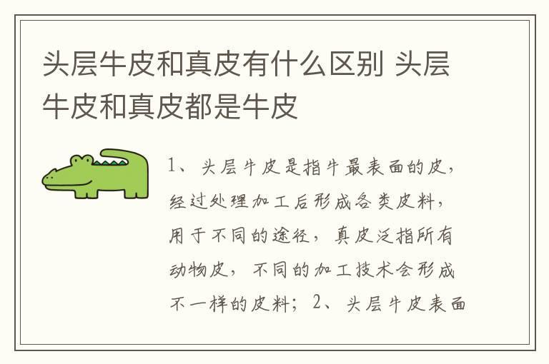 头层牛皮和真皮有什么区别 头层牛皮和真皮都是牛皮