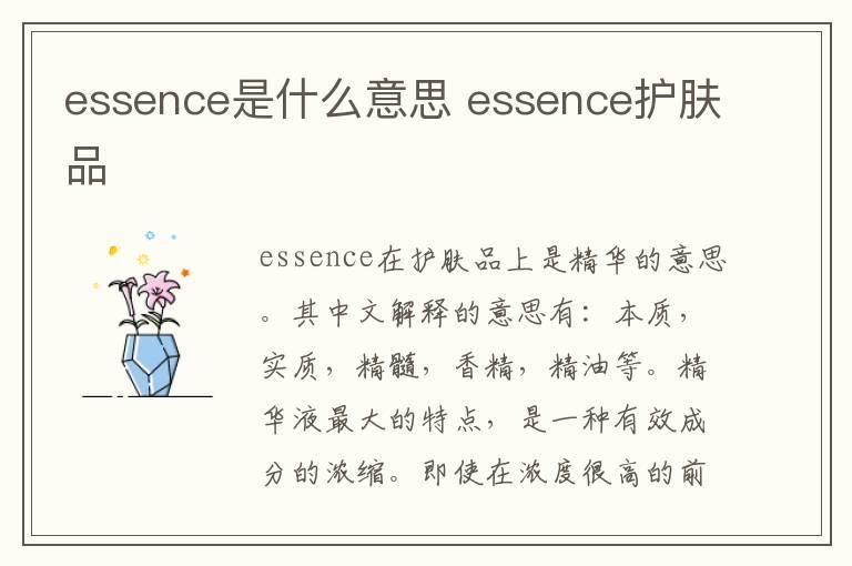 essence是什么意思 essence护肤品