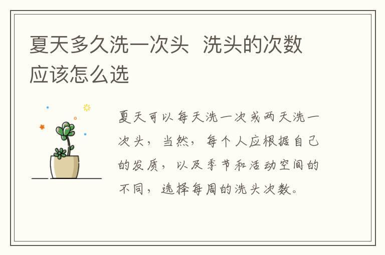 夏天多久洗一次头  洗头的次数应该怎么选