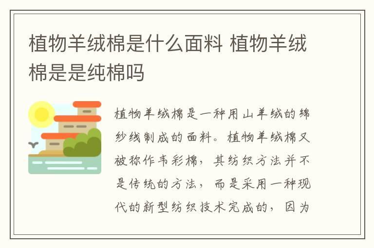 植物羊绒棉是什么面料 植物羊绒棉是是纯棉吗