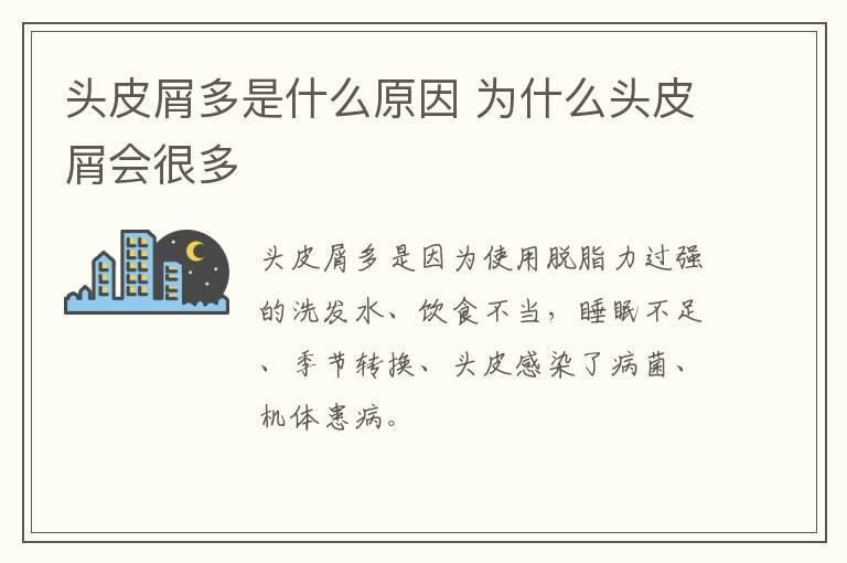 头皮屑多是什么原因 为什么头皮屑会很多