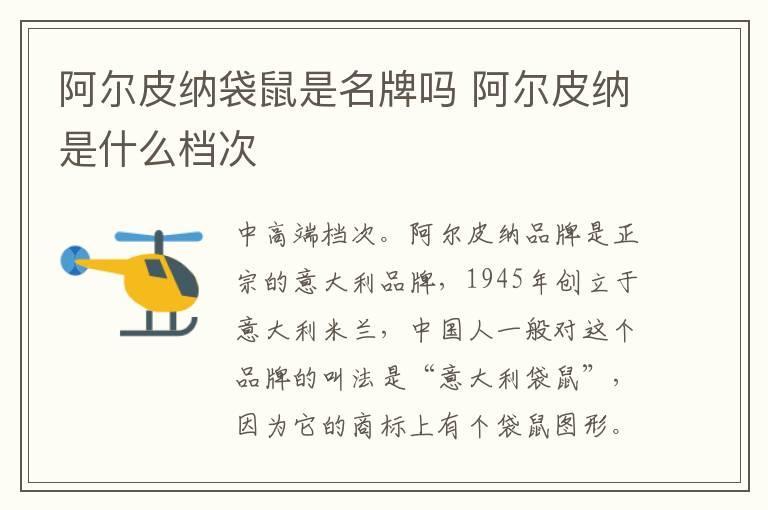阿尔皮纳袋鼠是名牌吗 阿尔皮纳是什么档次