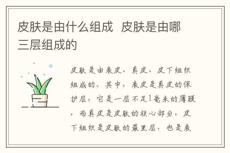皮肤是由什么组成 皮肤是由哪三层组成的