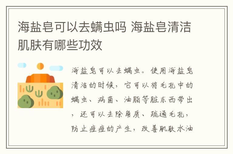 海盐皂可以去螨虫吗 海盐皂清洁肌肤有哪些功效