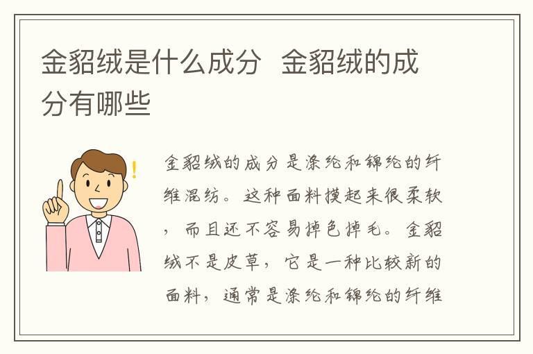 金貂绒是什么成分 金貂绒的成分有哪些