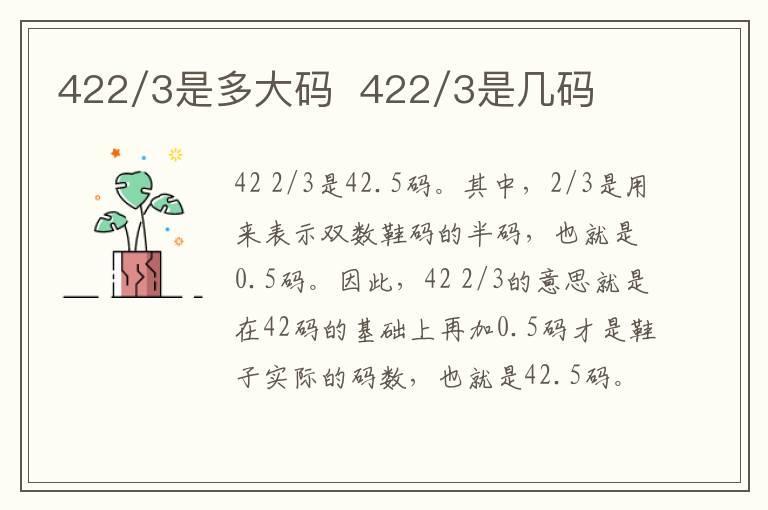 422/3是多大码 422/3是几码