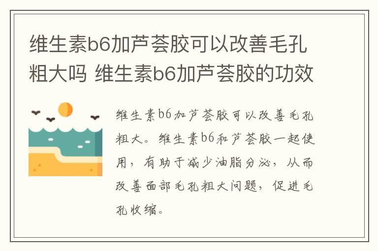 维生素b6加芦荟胶可以改善毛孔粗大吗 维生素b6加芦荟胶的功效