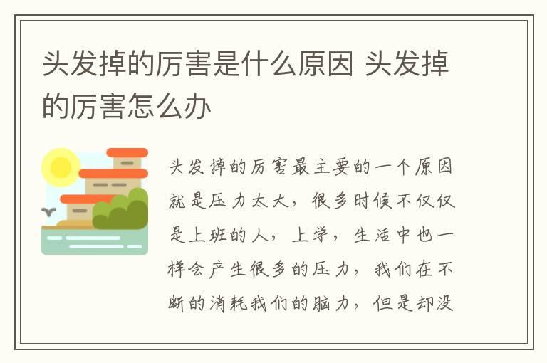 头发掉的厉害是什么原因 头发掉的厉害怎么办