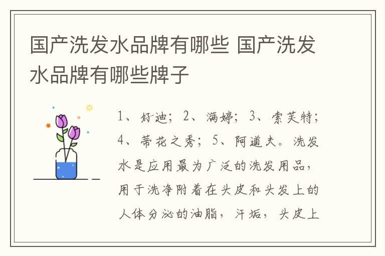 国产洗发水品牌有哪些 国产洗发水品牌有哪些牌子
