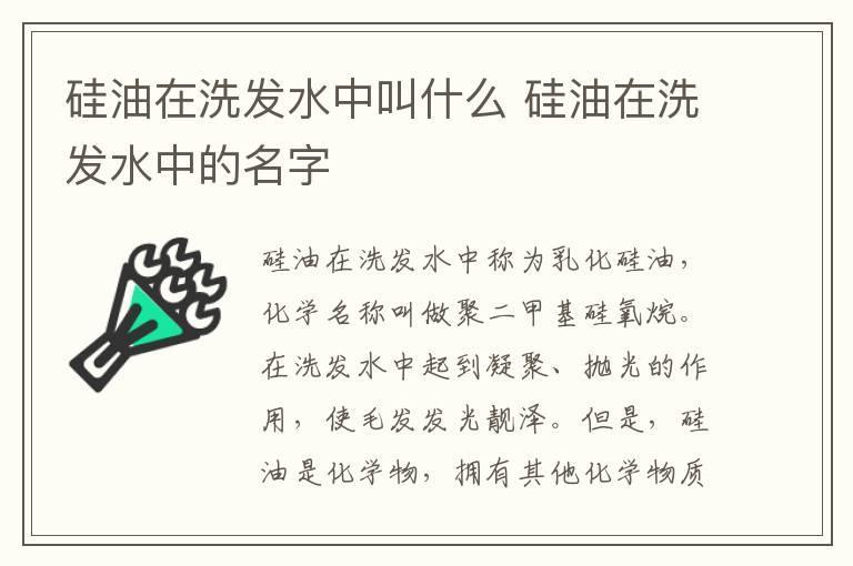 硅油在洗发水中叫什么 硅油在洗发水中的名字