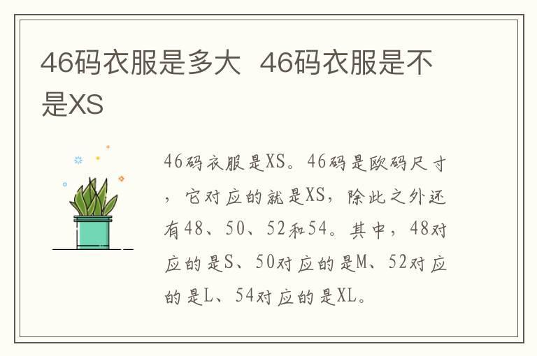 46码衣服是多大 46码衣服是不是XS