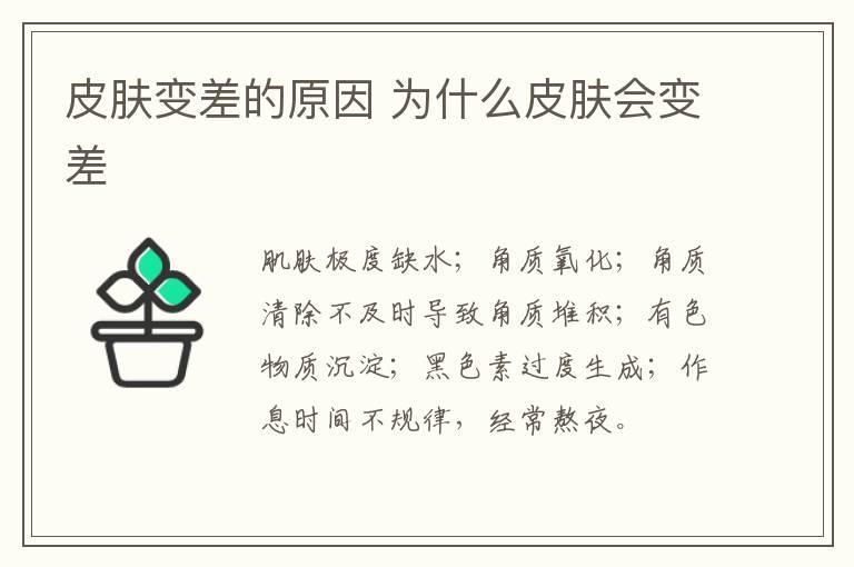 皮肤变差的原因 为什么皮肤会变差
