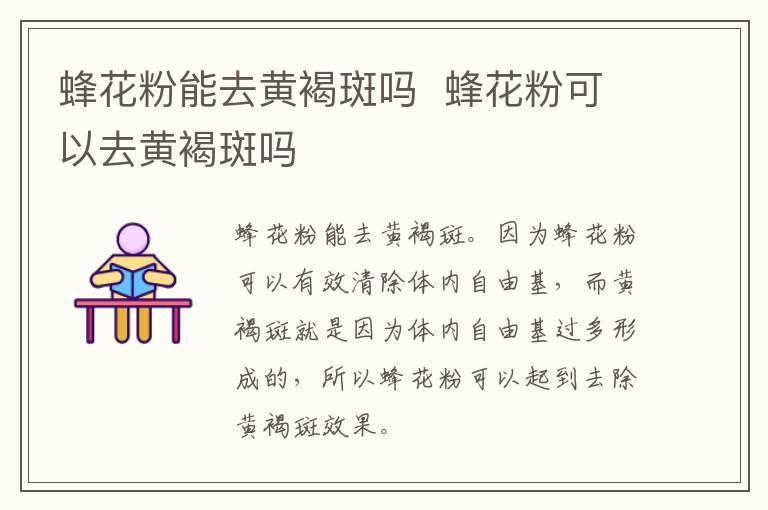 蜂花粉能去黄褐斑吗 蜂花粉可以去黄褐斑吗