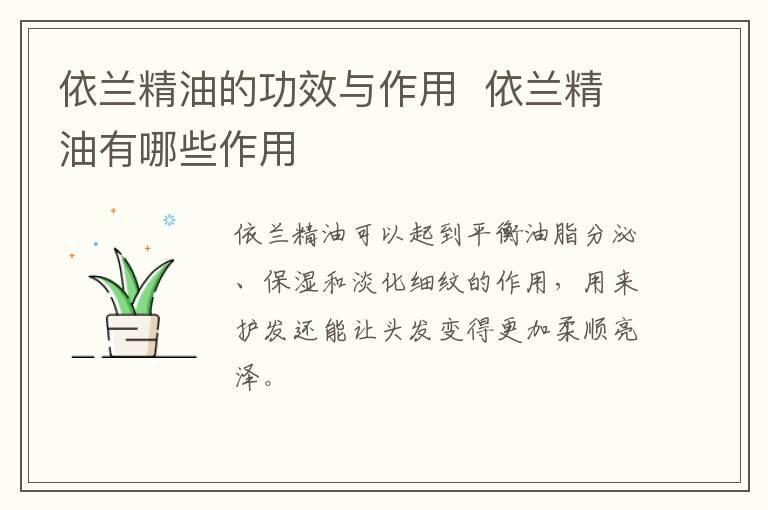 依兰精油的功效与作用 依兰精油有哪些作用