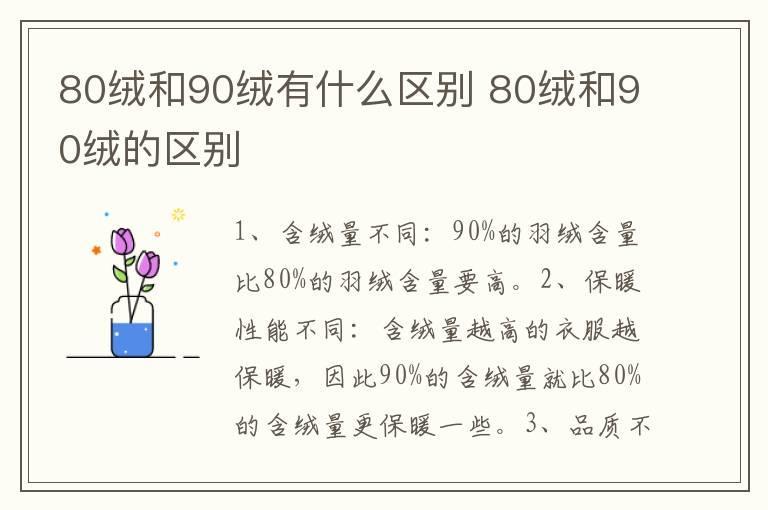 80绒和90绒有什么区别 80绒和90绒的区别