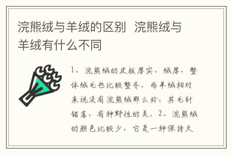浣熊绒与羊绒的区别 浣熊绒与羊绒有什么不同