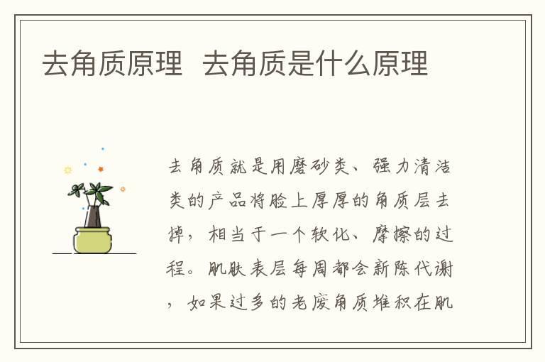 去角质原理 去角质是什么原理