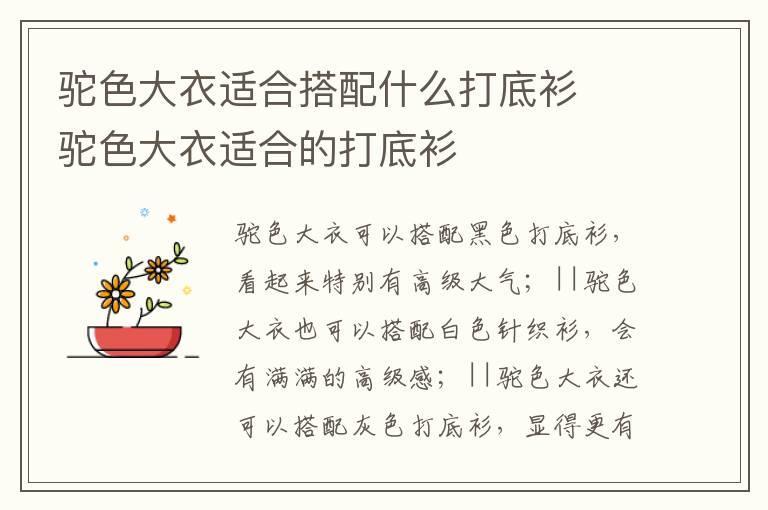 驼色大衣适合搭配什么打底衫 驼色大衣适合的打底衫