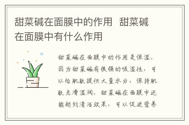 甜菜碱在面膜中的作用 甜菜碱在面膜中有什么作用