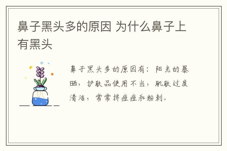 鼻子黑头多的原因 为什么鼻子上有黑头